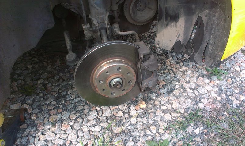 IMAG0205.jpg