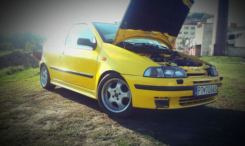IMAG0303.jpg