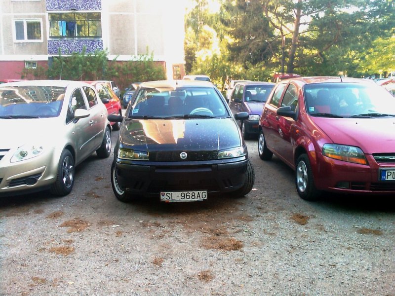IMAG0038.jpg