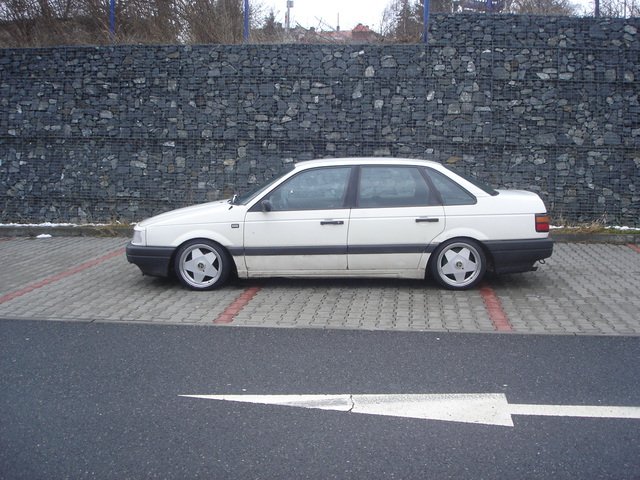 dsc05143.jpg