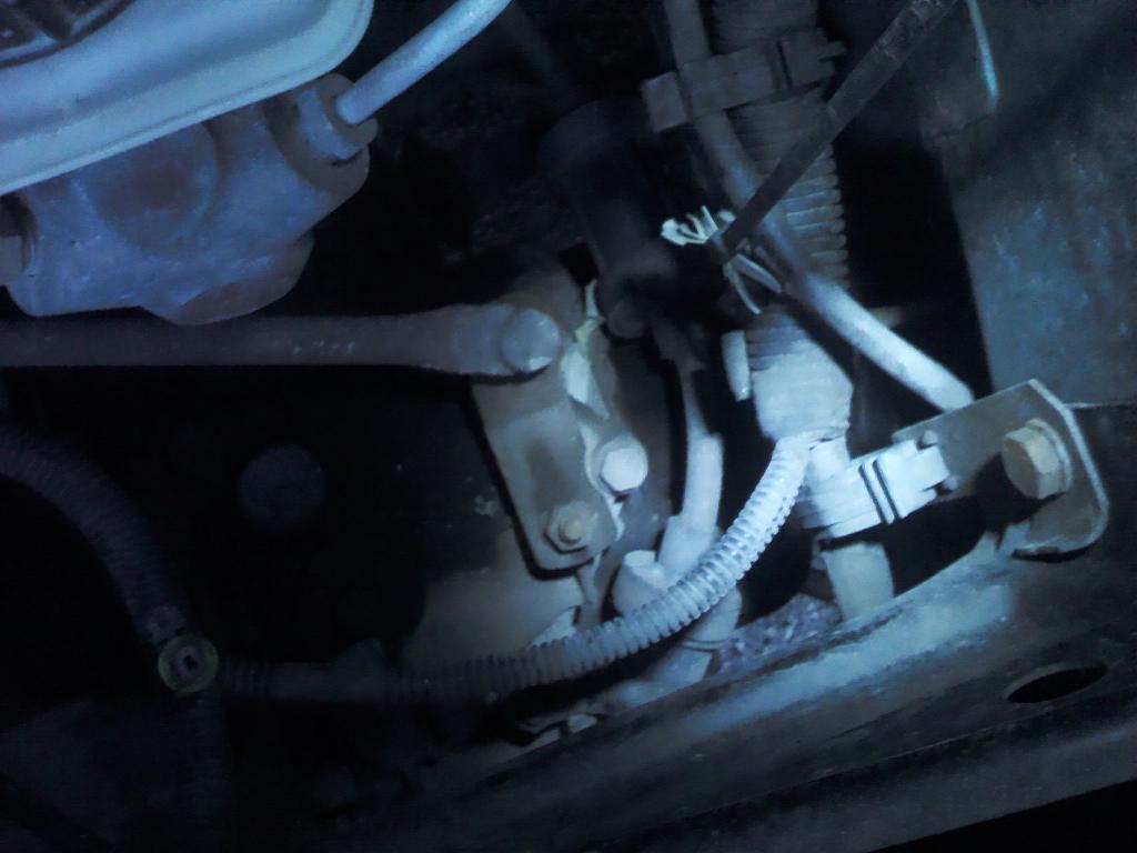 IMG_20111027_171531.jpg