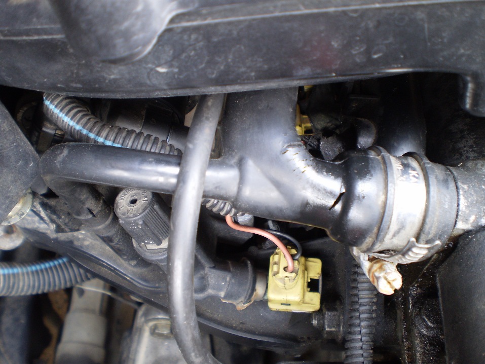 P9020467.JPG