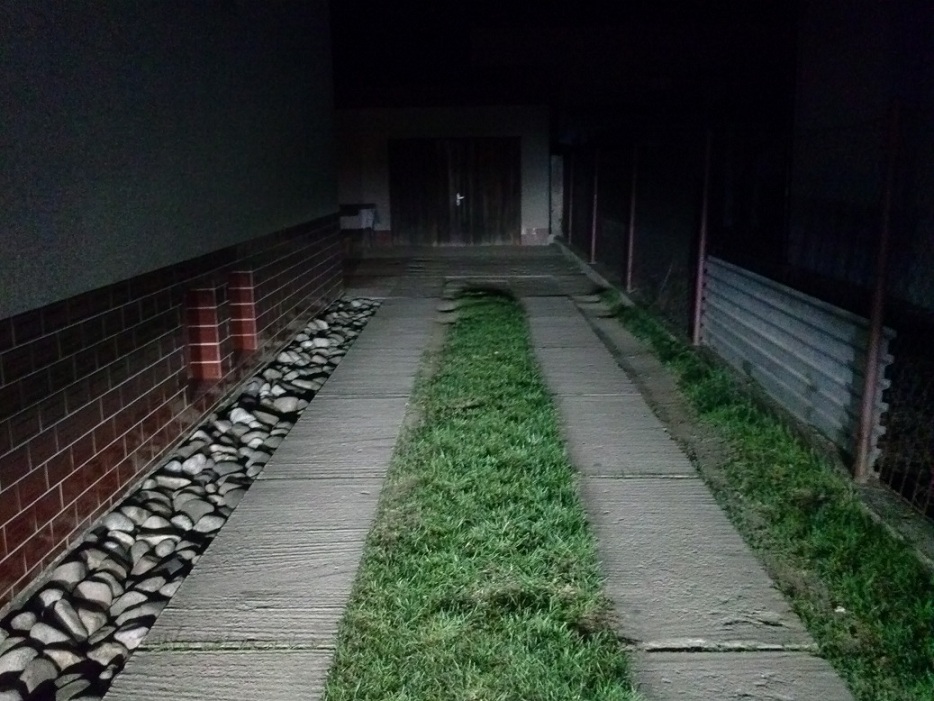 CAM00049.jpg