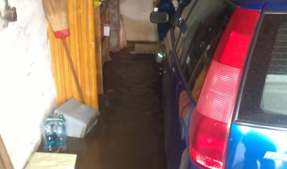 fiat laguna.JPG
